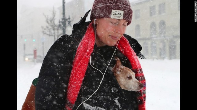 犬と一緒に歩く女性