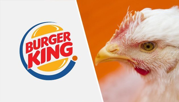 バーガーキングが飼育環境に問題のある鶏の使用を拒否する方針だという＝CNNMoney