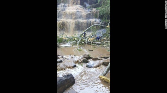 人気観光地の滝で倒木があり、死者が出た