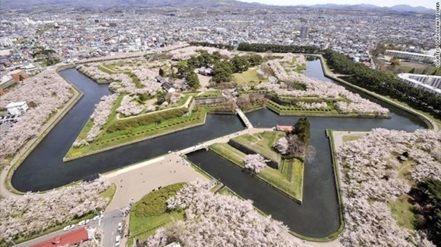 北海道南部の函館にある五稜郭には１０００本以上の桜の木が植えられている