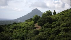 岩石の内部やビーチの砂と一緒に「かけら」は存在しているという