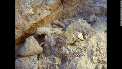 中央に、破損した頭蓋骨と大腿骨の一部という２つの化石が見える