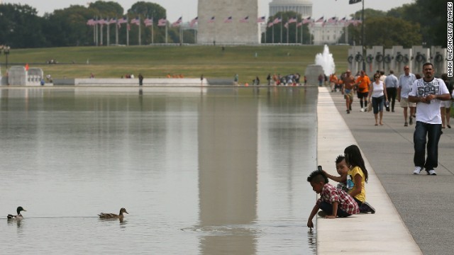 Cnn Co Jp 米リンカーン記念堂の池でカモ大量死 全面排水へ