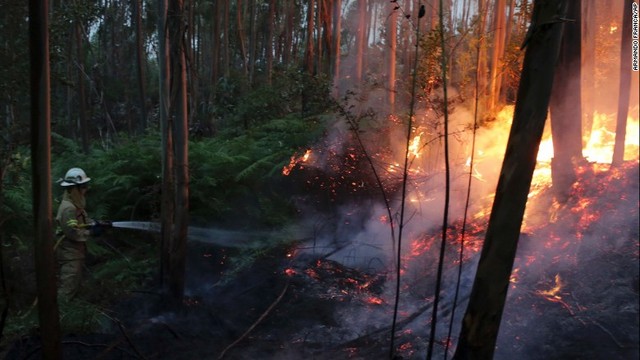 Cnn Co Jp 写真特集 ポルトガルで大規模な山火事 5 11