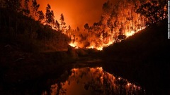 ポルトガル中部で大規模な火災が発生した
