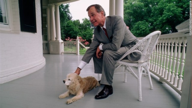愛犬をなでる副大統領時代のジョージ・Ｈ・Ｗ・ブッシュ元大統領