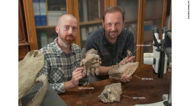 ラザナの研究に取り組む古生物学者のクリスティアーノ・ダルサッソ氏（右）とシモーネ・マガヌーコ氏