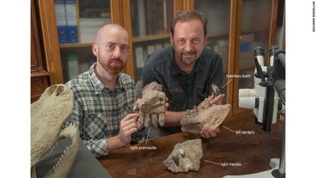 ラザナの研究に取り組む古生物学者のクリスティアーノ・ダルサッソ氏(右)とシモーネ・マガヌーコ氏