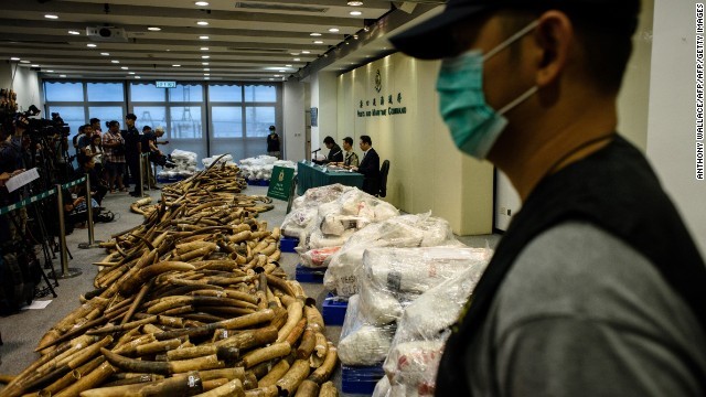 香港税関は約８トンの象牙を押収した