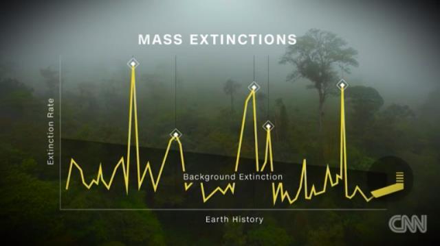 生物種が大量に死亡した「絶滅期」が過去に５度訪れているとされる