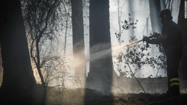 イタリア南部で今夏、山火事が頻発している