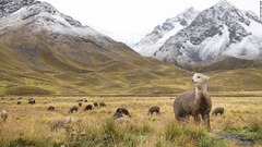 ララヤ渓谷の山々の標高は約４２７０メートル