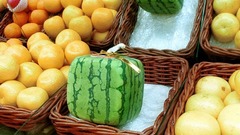 四角スイカ：四角スイカは日本の高価な観賞用果物で、１９７８年に小野友之氏によって発明された