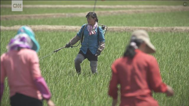 農作業をする人たち