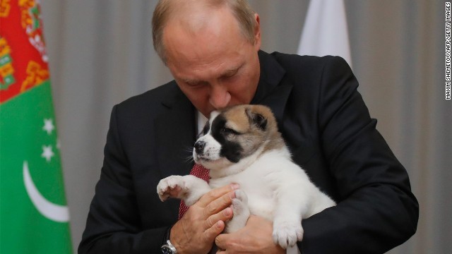 プーチン大統領にトルクメニスタン大統領から誕生日のプレゼントとして犬が贈られた