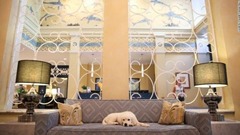 キンプトンホテル・モナコ・ポートランドで宿泊客を迎える犬「アレックス」