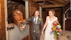 マナー・ヒルで行われた結婚式で歓迎される馬「ジャック」