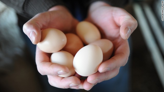 がんなどの治療に使われるたんぱく質を豊富に含んだ卵を産ませることに成功