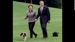 ジョージ・W・ブッシュ第４３代大統領とローラ夫人のスコティッシュテリアのバーニーとミス・ビーズリー