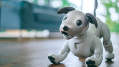 イヌ型ロボット「ａｉｂｏ（アイボ）」が来年発売に