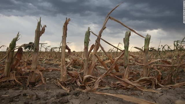 干ばつの被害に遭った畑。地球環境をめぐり「人類への警告」を訴える書簡が発表された