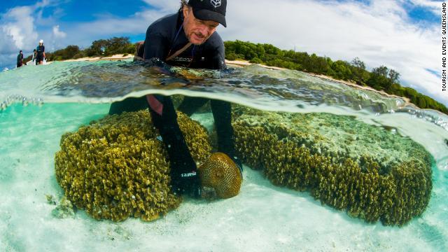 サンゴの「不妊治療」に取り組むピーター・ハリソン教授
