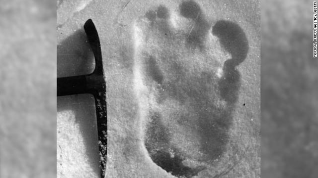 １９５１年に撮影された謎の足跡の写真。「イエティ」探索のきっかけを作った