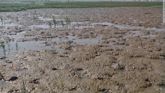 ２０１５年１月に撮影されたテンガルチャール島の様子