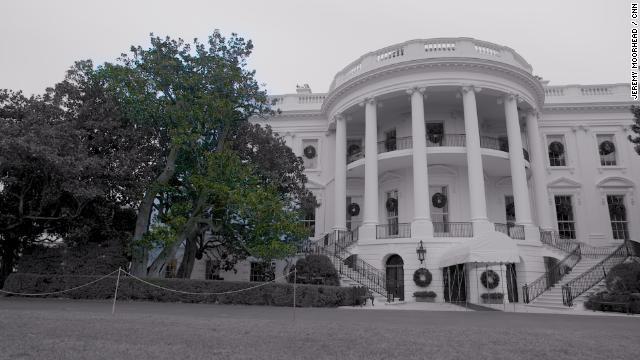 ホワイトハウスに１８００年代から立っているタイサンボクの木が伐採される