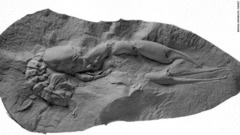 ＢＡＳの化石コレクションに所蔵されているロブスターの化石。恐竜が姿を消した白亜紀後期の地層で発見された