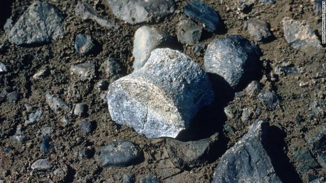 1988年から89年にけての科学探検では、7000万年前の恐竜の化石も見つかった