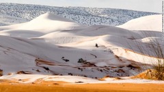 冬は夜間の気温が急落して、砂漠が雪に覆われることもある