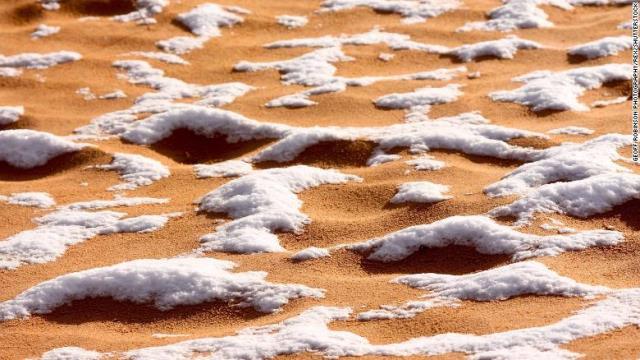 撮影した写真家によると、今回の雪は日中もかなり長時間、溶けずに残っていたという