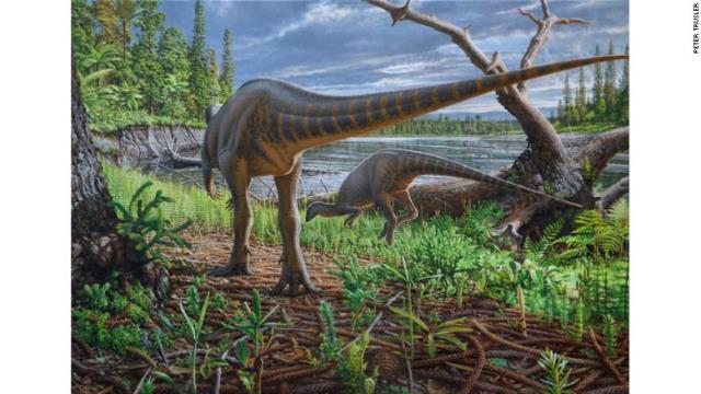 新種恐竜の化石を発見、七面鳥ほどの大きさ