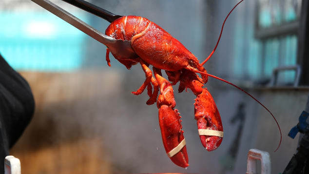 煮沸前に気絶させるか、即座に絶命させることが必要になる