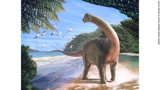 新種の恐竜「マンスーラサウルス」の化石がエジプトで発見された