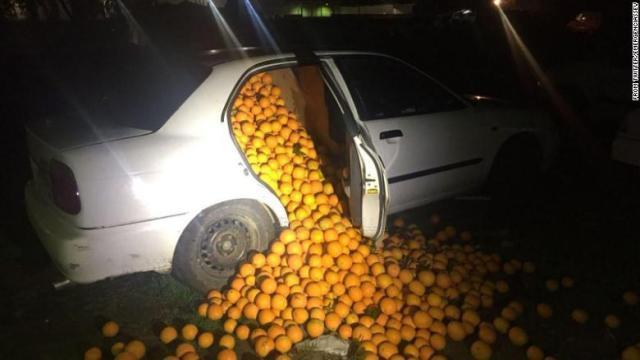 不審な車を調べてみれば、大量のオレンジが車内にぎっしり