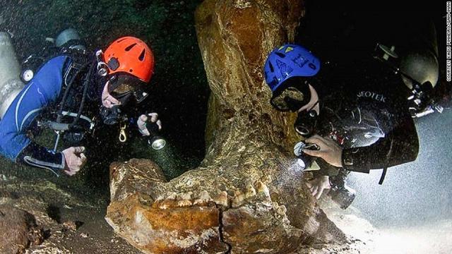探索の際に見つかったゾウの仲間の動物のものとみられる顎の骨。1万年以上前に絶滅した種類だという