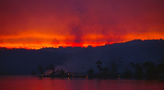 豪州南部で大規模な森林火災が発生