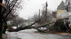 倒木で停電も引き起こされた＝２日、マサチューセッツ州