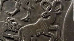 先王朝時代の儀式用の道具に彫られたヤギの図。角や肩のコブがミイラのタトゥーにも描かれているという