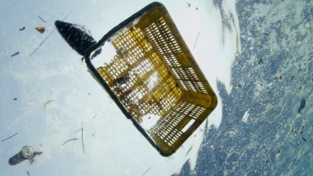 海に捨てられたプラスチックについて、英政府が１０年間で３倍になるとの報告を発表