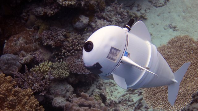 マサチューセッツ工科大学が開発した魚型ロボット「ＳｏＦｉ」