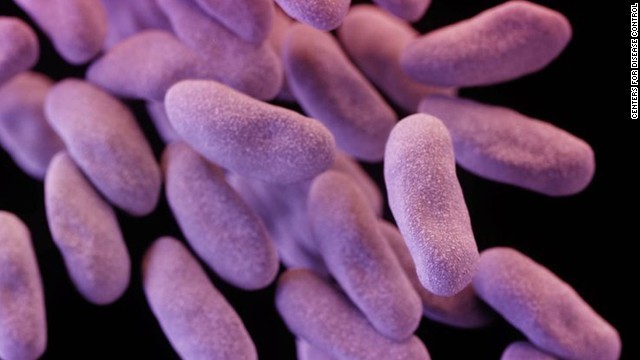 「悪夢の耐性菌」と呼ばれる細菌から２００以上の希少な抗生剤耐性遺伝子が見つかった