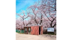 石川県にある加賀公園＝ｔｏｉｌｅｔｓ＿ａ＿ｇｏ＿ｇｏ／Ｈｉｄｅｆｕｍｉ　Ｎａｋａｍｕｒａ