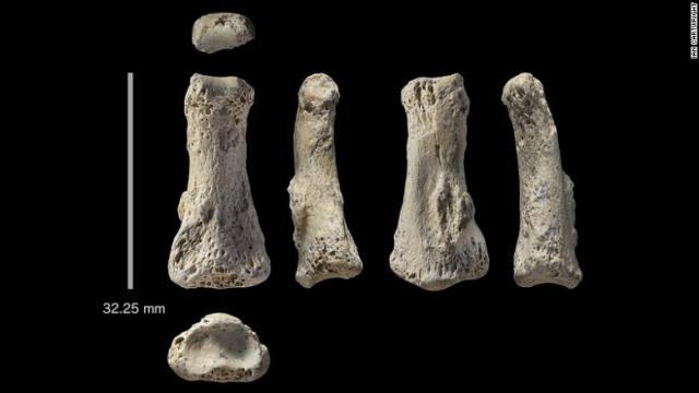 アラビア半島の砂漠で見つかった現生人類の指の骨の化石
