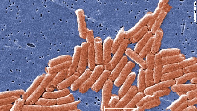 サルモネラ感染の疑いがあるとして、鶏卵２億個あまりのリコールが発表された