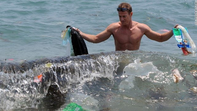 海に大量のプラスチックごみが存在しているという