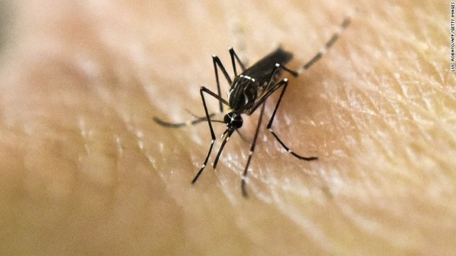 ノミや蚊が媒介する感染症が２００４年以来３倍強に増大