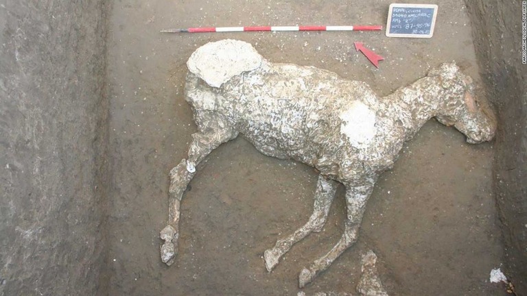 イタリア・ポンペイで馬の化石が発見された